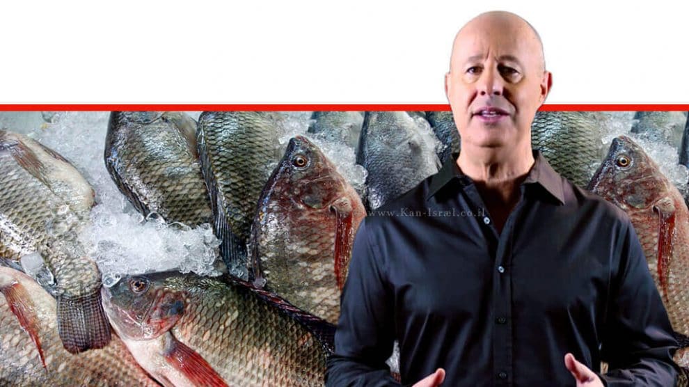 משרד החקלאות, החקלאים והאוצר, חתמו על הורדת מכסים ב'יבוא דגים'